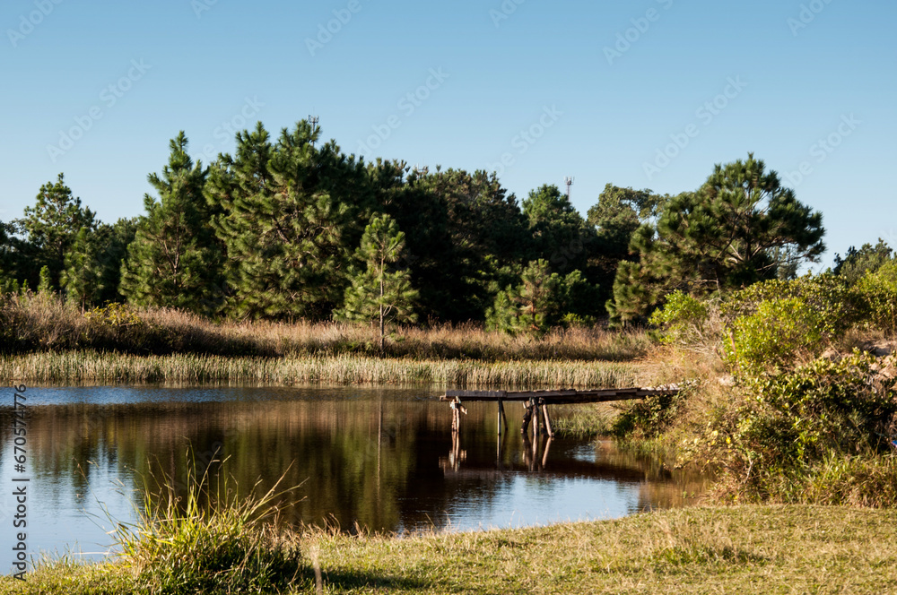 Fototapeta premium lake and forest in brazil