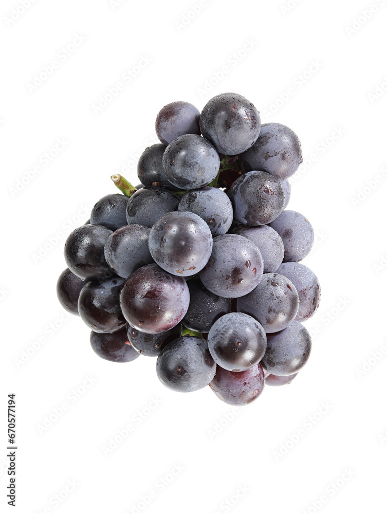 bunch of grapes on a white background bunch of grapes on a white background