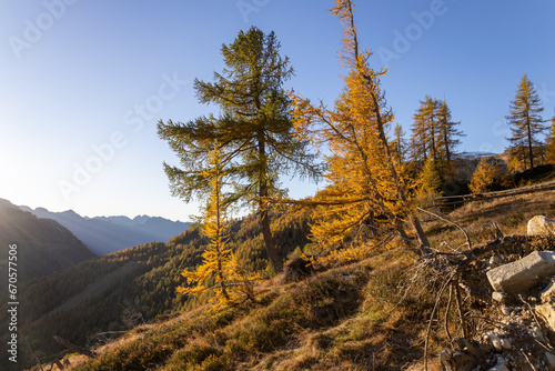 Alpe Devero