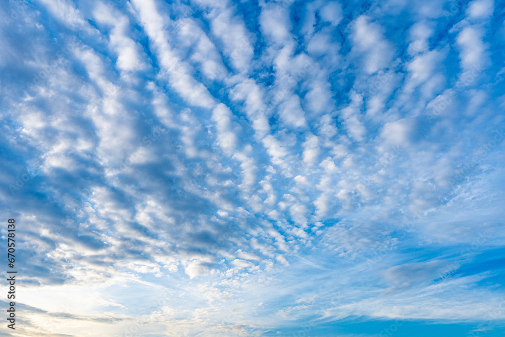 Fototapeta premium 青空に浮かぶ巻積雲