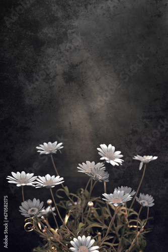 Sympathy card with white marguerite daisies on dark grunge background with copy space