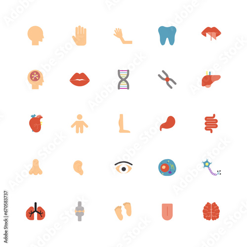 Human organ body - Flat color