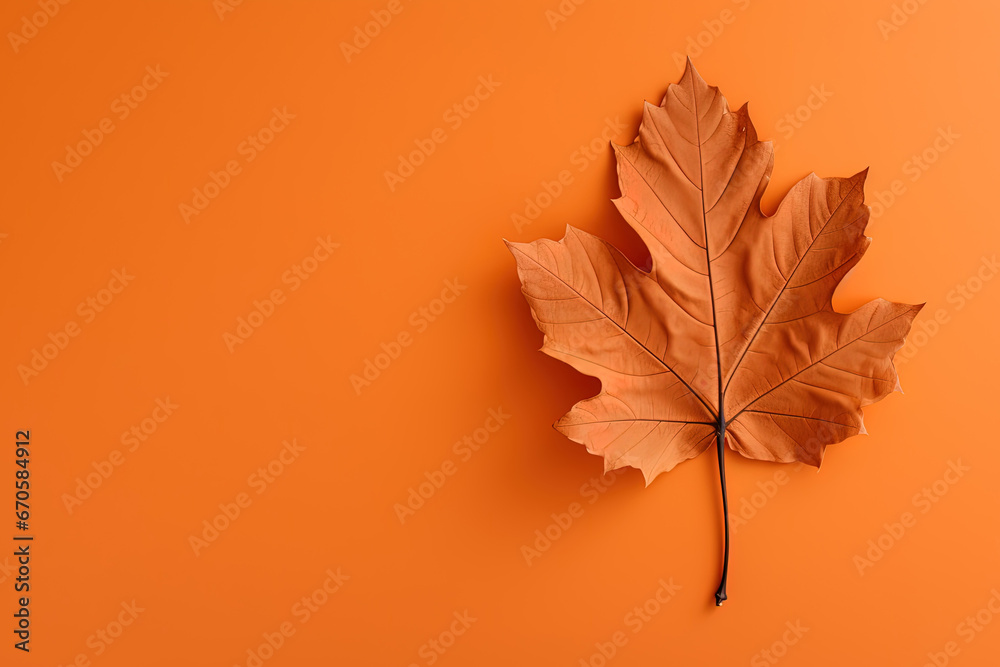 Autumn dried leaf on an orange background with copy space Autumn dried leaf on an orange background with copy space
