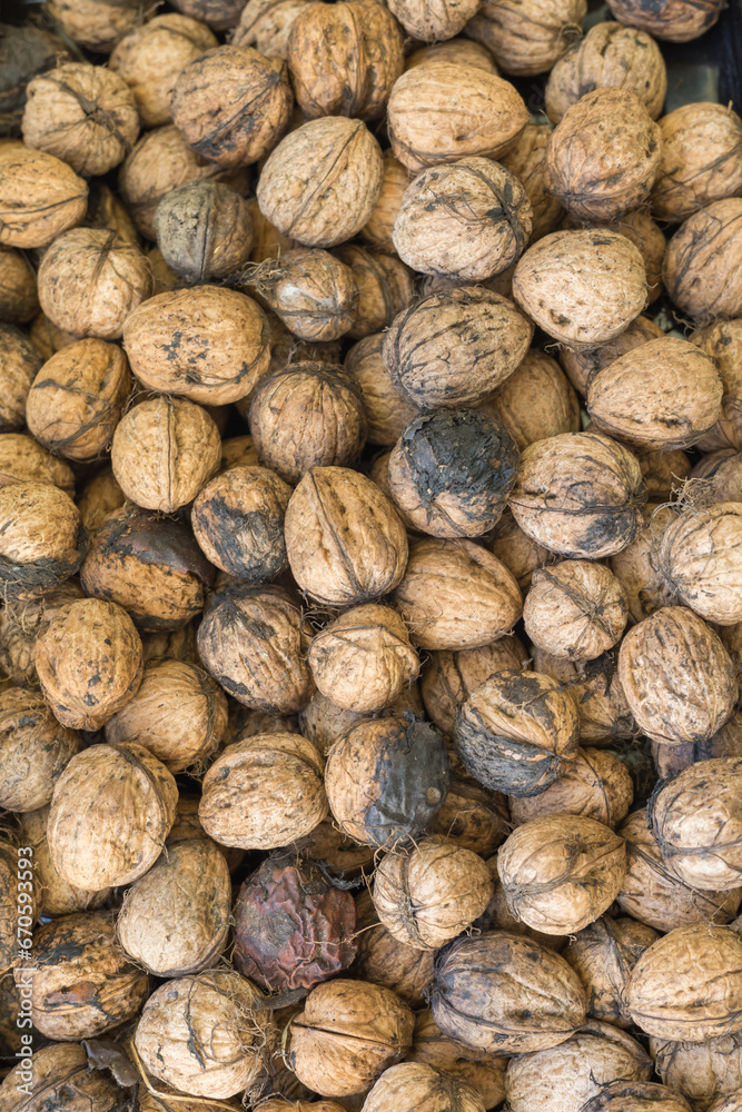 Whole walnuts on the table. View from above - flatlay Whole walnuts on the table. View from above - flatlay