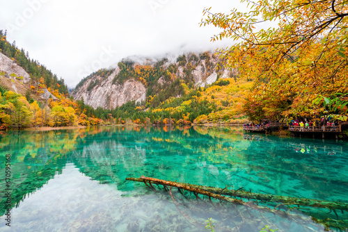 Fototapeta Naklejka Na Ścianę i Meble -  Beautiful autumn scenic view at five flower lake in jiuzhaigou national park