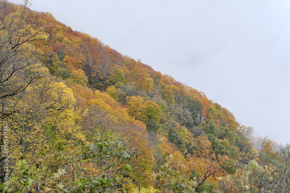 湯沢高原から見える景色、曇り　View from Yuzawa Plateau