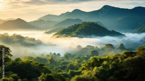 Deep tropical forest, mountains, sea of mist, morning sunrise, natural light.