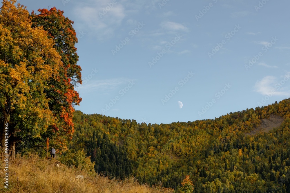 Fototapeta premium Idyllic image of autumnal foliage and trees under a moon in Svaneti, Georgia
