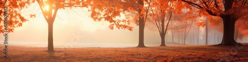 Orange tree with red-brown maple leaves in the park in autumn amidst the sunset mist photo