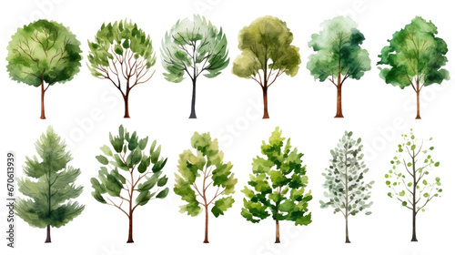 Set of Watercolor trees collection on transparent background
