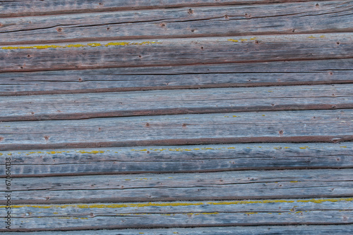 Photoshoot background of Wood Plank