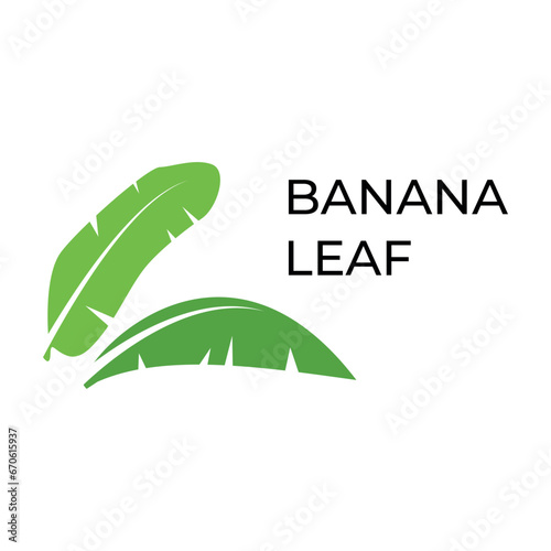 banana leaf logo icon vector symbol illustration design