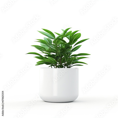 Plant in a pot isolated on white background.Generative AI