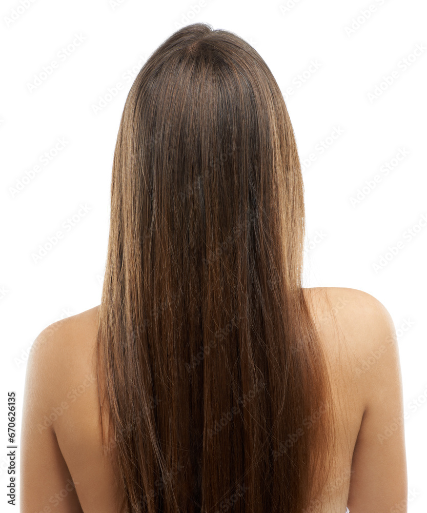 Hair, woman and treatment in studio with back view for mock up on white background in Russia. Female model, head and texture for heat, damage or mask with keratin, botox or hydration for self care Hair, woman and treatment in studio with back view for mock up on white background in Russia. Female model, head and texture for heat, damage or mask with keratin, botox or hydration for self care