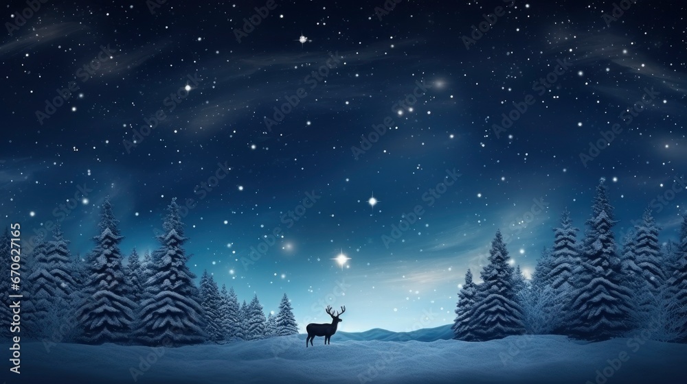 christmas photo of Starlit Night a dark sky Mistletoe christmas photo of Starlit Night a dark sky Mistletoe