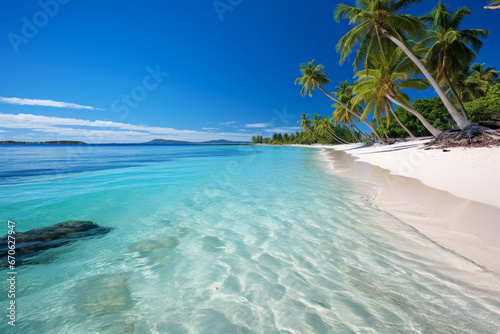 beach with palm tree © Nature creative