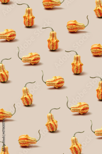 Minimal pattern of Decorative pumpkins on beige. Stylish aesthetic photo, autumn season natural plants, Halloween and Thanksgiving trend holiday background. Many gourds or squashes, composition