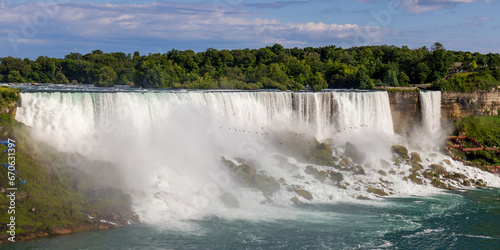 Fototapeta Naklejka Na Ścianę i Meble -  Group of birds flying in front of the American Falls, Niagara Falls, USA