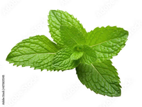 Mint isolated on a transparent background created with Generative AI technology