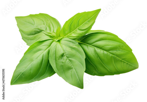 Basil isolated on a transparent background created with Generative AI technology
