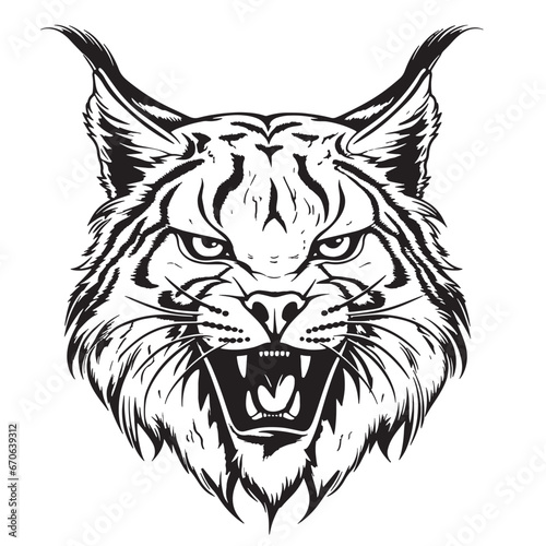Angry lynx sketch hand drawn sketch Vector