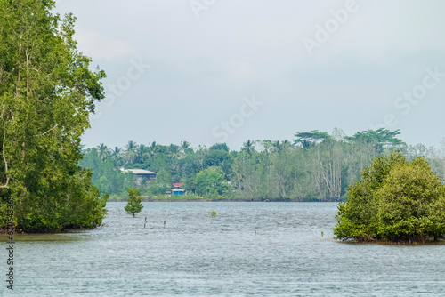 View of the river surrounded by mangrove trees which is the main route to Panrita Lopi beach in Muara Badak.