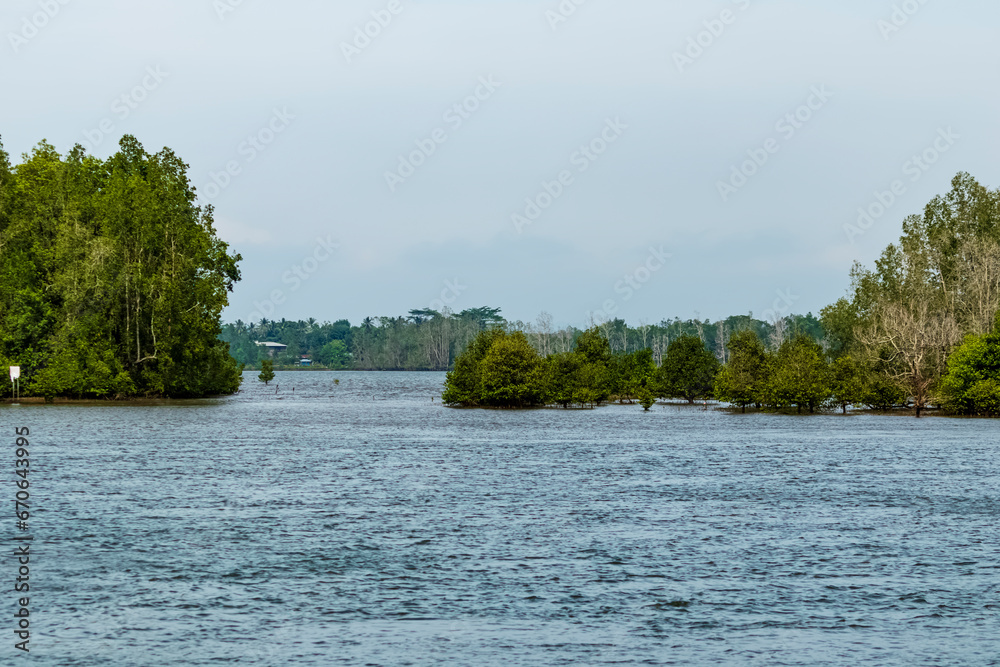 View of the river surrounded by mangrove trees which is the main route to Panrita Lopi beach in Muara Badak. View of the river surrounded by mangrove trees which is the main route to Panrita Lopi beach in Muara Badak.