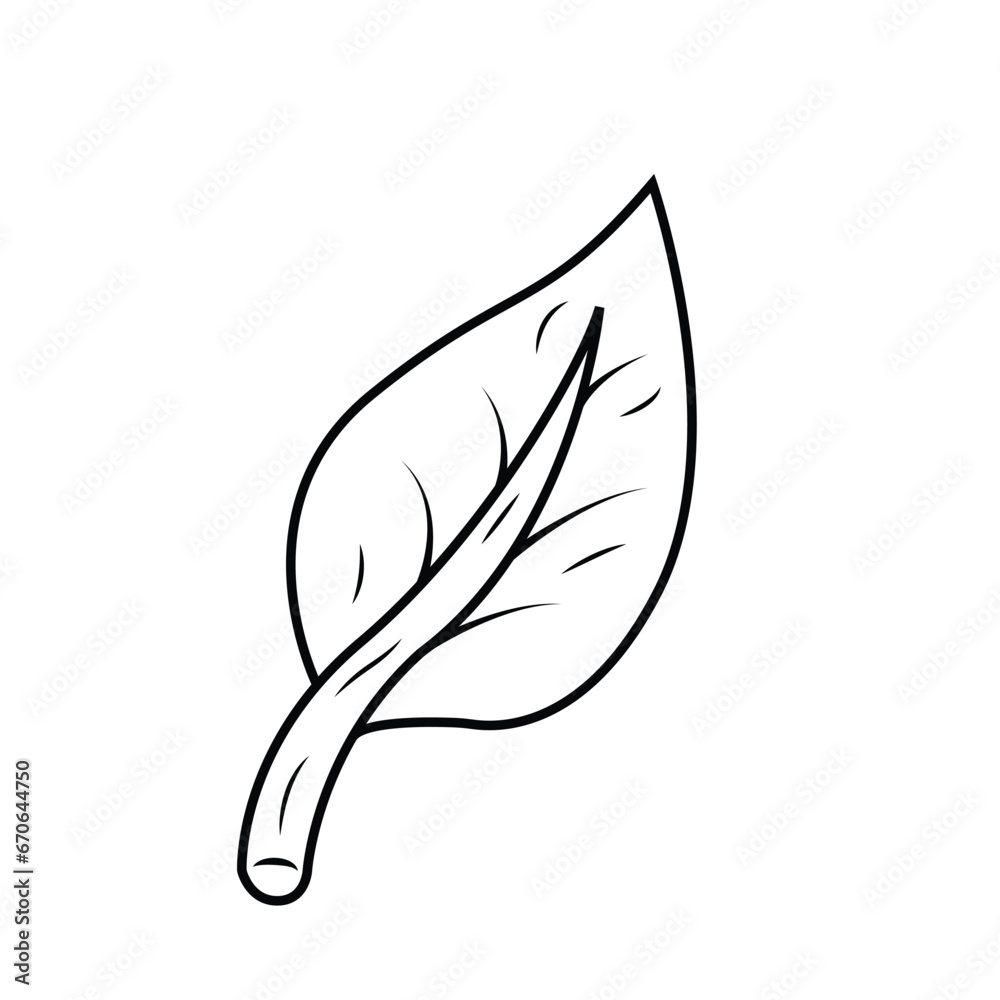 illustration of a leaf illustration of a leaf