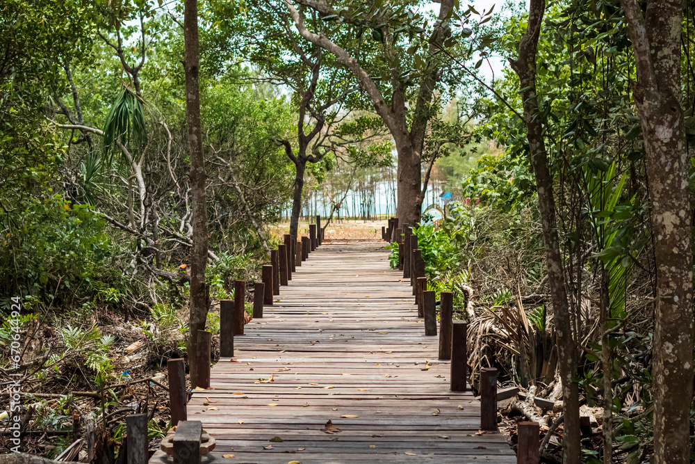 The view of the entrance to Panrita Lopi beach has mangrove and pine trees around it.