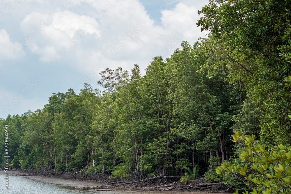 View of the river surrounded by mangrove trees which is the main route to Panrita Lopi beach in Muara Badak. View of the river surrounded by mangrove trees which is the main route to Panrita Lopi beach in Muara Badak.