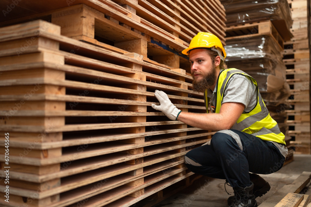 Caucasian business or craft man checking pallets with stock timber and pallets background at wood factory Caucasian business or craft man checking pallets with stock timber and pallets background at wood factory