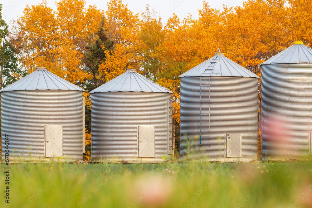 Old grain bins are in the field along the forest in autumn. Old grain bins are in the field along the forest in autumn.