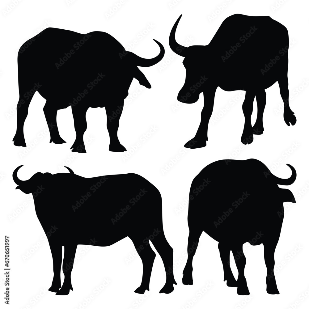Fototapeta premium Vector animal buffalo silhouettes vector illustration