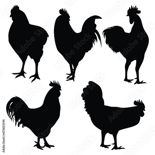 Vector farm animal chicken silhouettes vector illustration