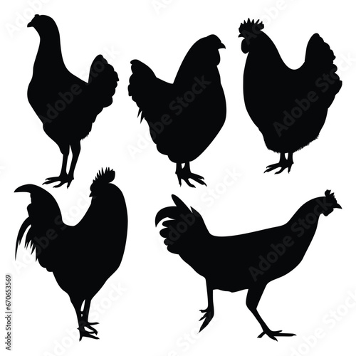 Vector farm animal chicken silhouettes vector illustration