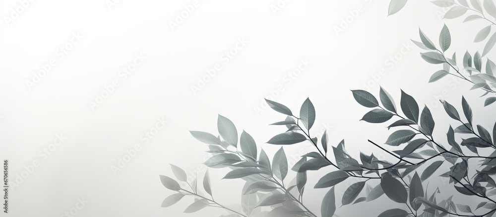 Blurred blending effect creates a natural light photo on a backdrop of gray with foliage casting a shadow