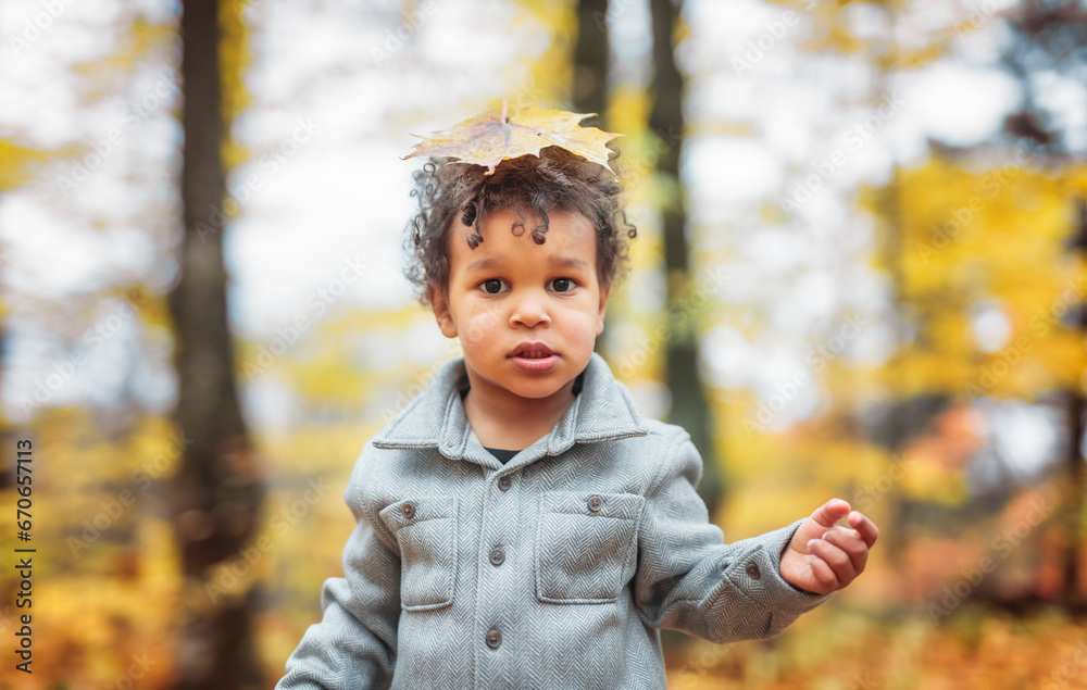 two year old little boy posing in autumn park two year old little boy posing in autumn park