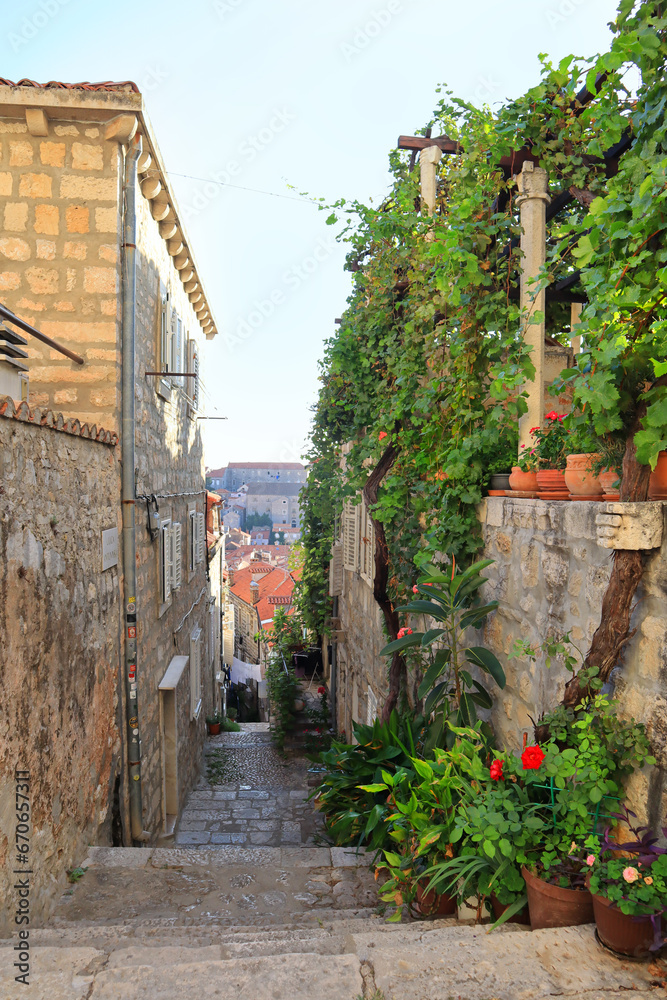 Historical narrow street with old houses in Dubrovnik, Croatia