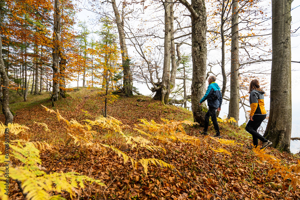 Fototapeta premium AUTUMN SHOOTING
