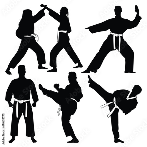 Martial Art or karate Silhouettes Vector illustration