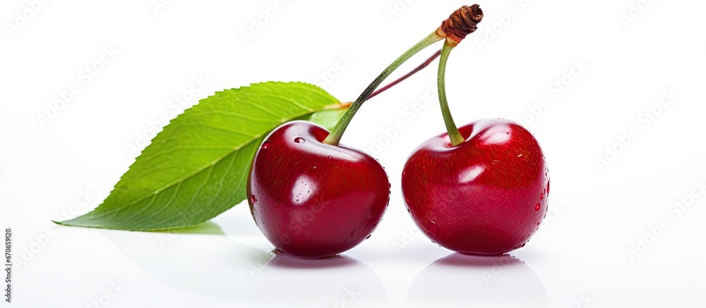 Cherry against white backdrop Cherry against white backdrop