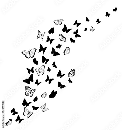 Black butterfly silhouettes. Vector design element