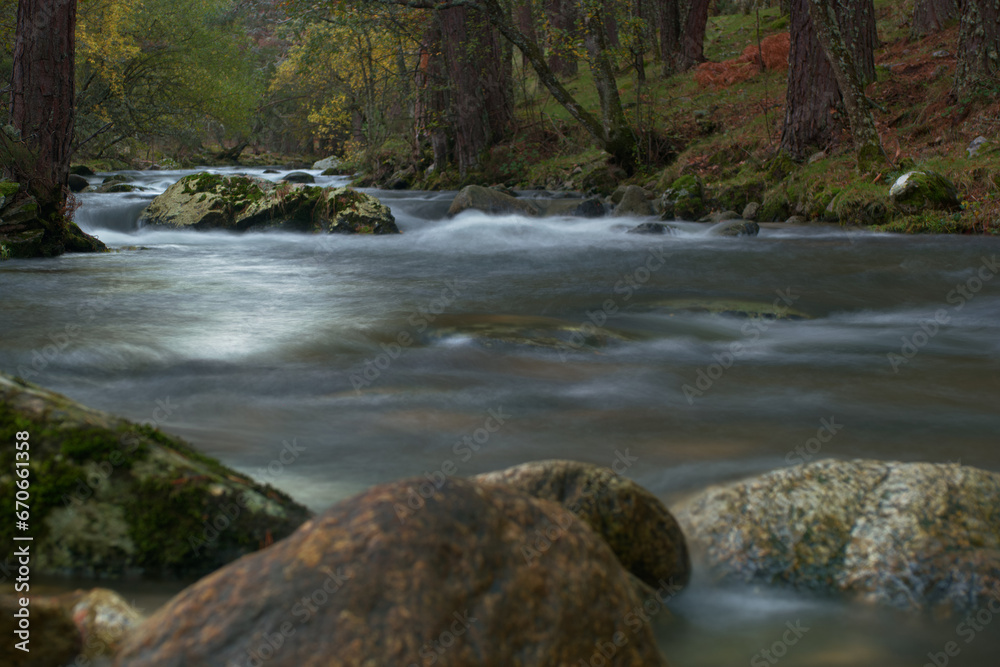 strumień, rzeka, środowisko, płynący, woda, natura, krajobraz, las, sceneria, upadek, pływ, zielony, sceniczny, drzewo, ruch, kamień, strumień, rzeka, środowisko, płynący, woda, natura, krajobraz, las, sceneria, upadek, pływ, zielony, sceniczny, drzewo, ruch, kamień,