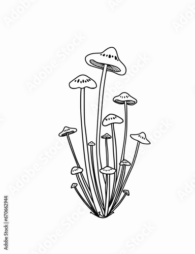 Mushroom hand drawn isolated on white background, Illustration vector