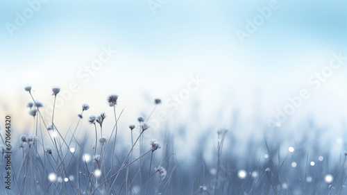 Bokeh Style: Snowy Field and Delicate Flowers © M.Gierczyk