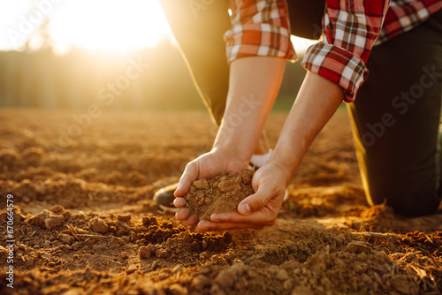 Black soil in the hands of a farmer. The hands of an experienced agronomist collects soil and checks the quality of black soil. Concept of fertility, ecology. Agriculture.