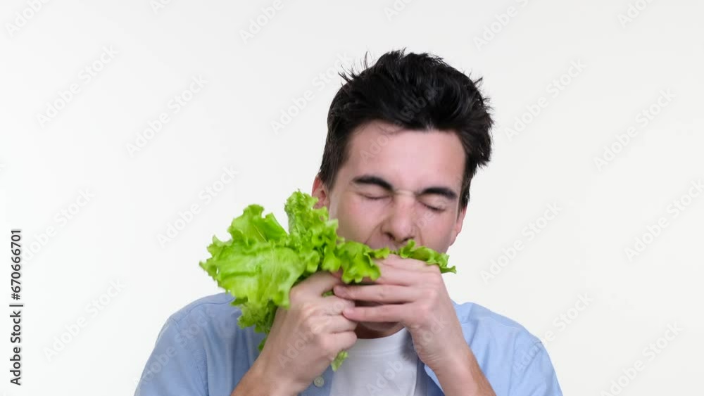 Caucasian man enjoys consuming lettuce leaves. Smile shines brightly as he attentively chews each piece of freshness. The salad leaves contrast against the background, highlighting the naturalness.