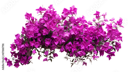 Purple bougainvillea flowers horizontal border with leaves and plants isolated on transparent background. Generative AI photo