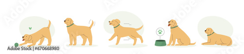 Cute dog or puppy chasing a ball, lying, plying and running. Adorable retriever daily activity, different emotions and behavior. Funny animal set. Pet care concept. Flat vector illustration. 