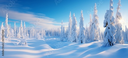 Stunning panorama view of snowy landscape in winter  - winter wonderland forest snowscape snow nature © Corri Seizinger